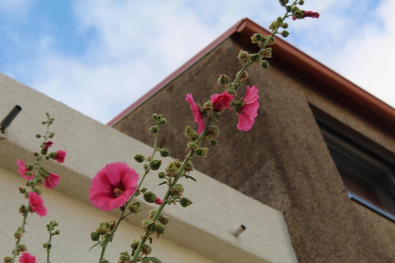 Sambuc'asa Guest House Sabugueiro  Bagian luar foto